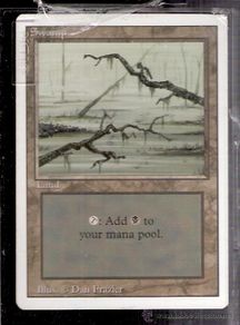 Trading cards: Swamp. Land. Magic. The Gathering. Deckmaster.